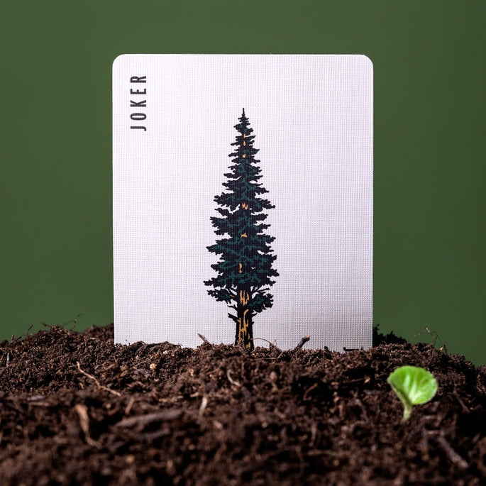 Jeu de cartes collection "Smokey Bear"