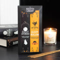 Lot 2 paquets d'encens "The Haunted Library"
