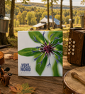 Album 20 Printemps - Le Vent Du Nord