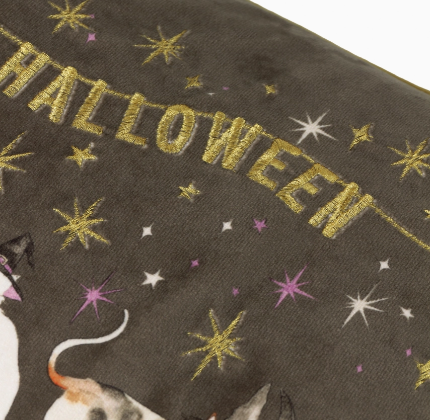 Coussin chats Happy Halloween