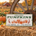 plaque métallique vintage "Organic pumpkins"