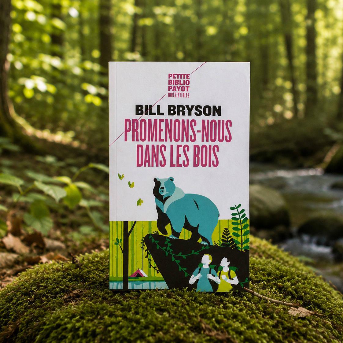 Bill Bryson promenons nous dans les bois